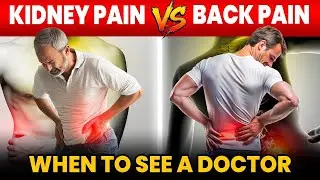 Kidney Pain vs. Muscle Pain: Don’t Get Confused | Kidney Pain vs. Back Pain – Easy Guide | Fight CKD