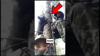 Медведь НАПАЛ На Охотника На Дереве😱ШОК‼️