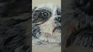 Process of Pet Portrait Embroidery