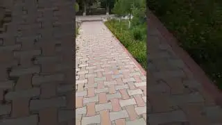 #Кўзни#қувонтирувчи#табиаат#