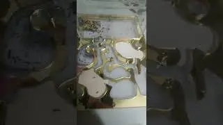 мои муравьи!
