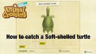 How to Catch A Soft-shelled turtle In Animal Crossing New Horizons!