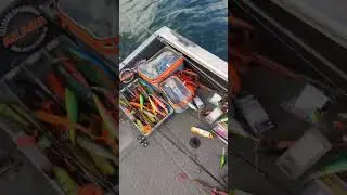 Как выглядит лодка после рыбалки... #рыбалка #fishing #shorts