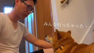 怖いよ！新居でひとり階段を登れない柴犬ハチが可愛すぎると話題に。