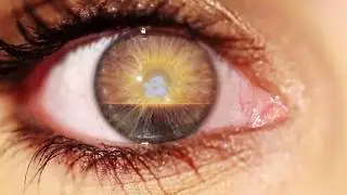 AL1CE - Wide Awake