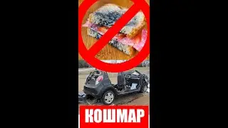 Страховка на машину в Америке и в странах бывшего СССР. Разница. Просто и быстро Еда в США опасна