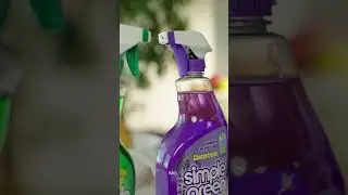 Knock, Knock... OLIVE