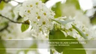 Frosted Glass Lower Third Pack | After Effects Template | Elements