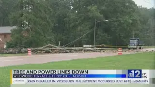Tree falls on power lines in Jackson