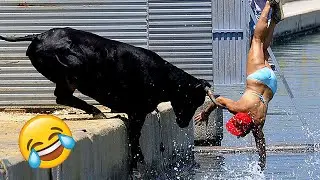Best Funny Videos🤣 Try Not To Laugh🤣 Funny & Hilarious People's Life 😂#54