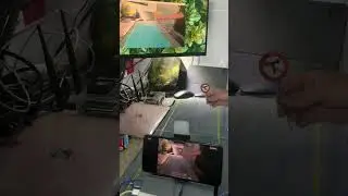 Car detect lanes and traffic sign