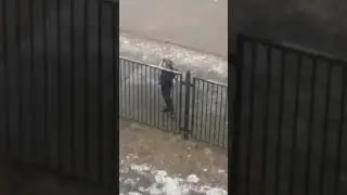 Халява
