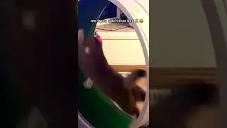 Our New Furry Friend is Already on that Grind 😤😂 
