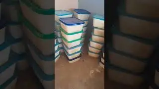 Smaller Size Of Shea butter