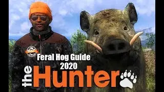 theHunter Classic - Feral Hog Guide 2020