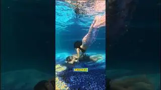 Mermaid refuses to let me sleep 🧜‍♀️🧜‍♀️