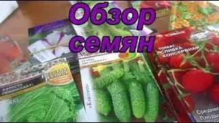 Обзор семян/какие семена буду сеять.