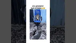 Авторитет Степанчик😁😼 