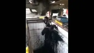 Time to shower - Short Random Video