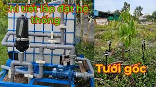 How to install a root irrigation system for durian trees