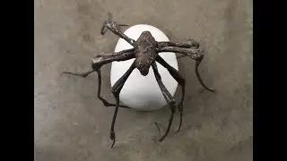 Louise Bourgeois in Florence: Exhibition Insights