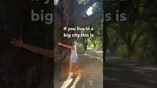 Do you hug trees? #earthing #grounding #tree #treehugger #hippie
