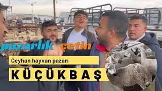 CEYHAN KÜÇÜKBAŞ HAYVAN PAZARI / BU HAFTA PİYASA? #hayvancılık #tarım