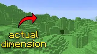 Minecraft, but it has INFINITE DIMENSIONS