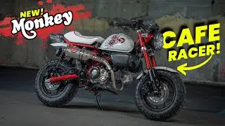 New Honda Monkey 125 Cafe Racer!