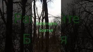 15 мая 2024 г.