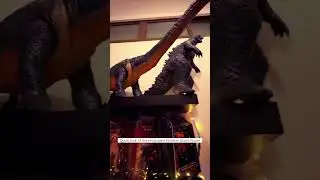 Amazing Collection Room 