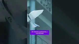Golondrina robotica