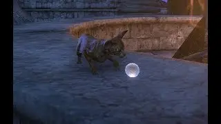 Build warden-tank Wolfhunter dlc. Teso (RU guide)