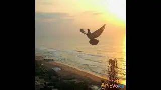 Finally you will win