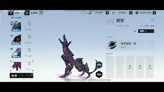 NEW PET /HADES/ S RANK/PGR CN 【战双】