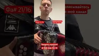 #Гармонь