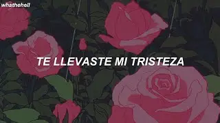 con flores te llevaste mi tristeza, con colores