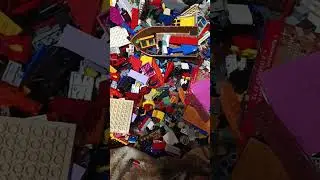 3 дней идёт к концу, но сортировка  Lego продолжается мы не здаёмся !!!