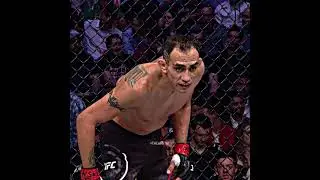Elcucuy 2018-2020🐊thewartm