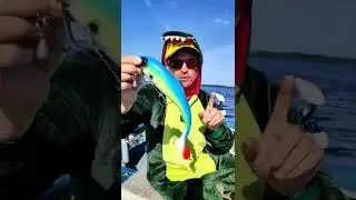 приманка на окуня
