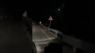 Grauno, immortalato un lupo mentre sbrana un capriolo