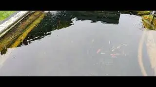 pas de souci pour mon bassin cet d'hiver