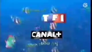 ZIG AND SHARKO I Season 1 intro