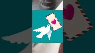 This Trained Pigeon Can Kill you (Hindi/اردو)
