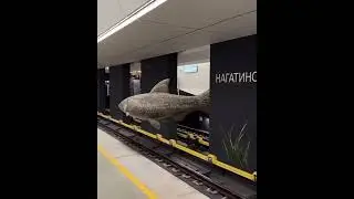 Рыба на станции 