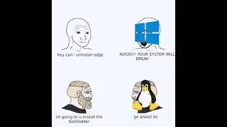 Me Destroying VMs With Different Linux Commands