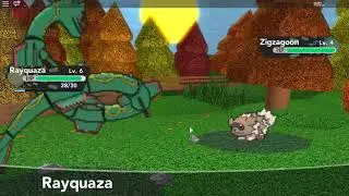 Zigzagoon / The Tales Of Rayquaza