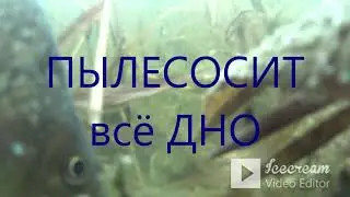 КАРАСИ ГИГАНТЫ  /ПОДВОДНЫЕ СЪЁМКИ середина ноября/