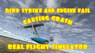 Real Flight Simulator - Bird Strike And Engine Fail Causing Crash