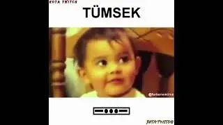 FURKAN EMİRCE - TÜMSEK #shorts #furkanemirce #keşfet #trending #faruk #trendingshorts #komik